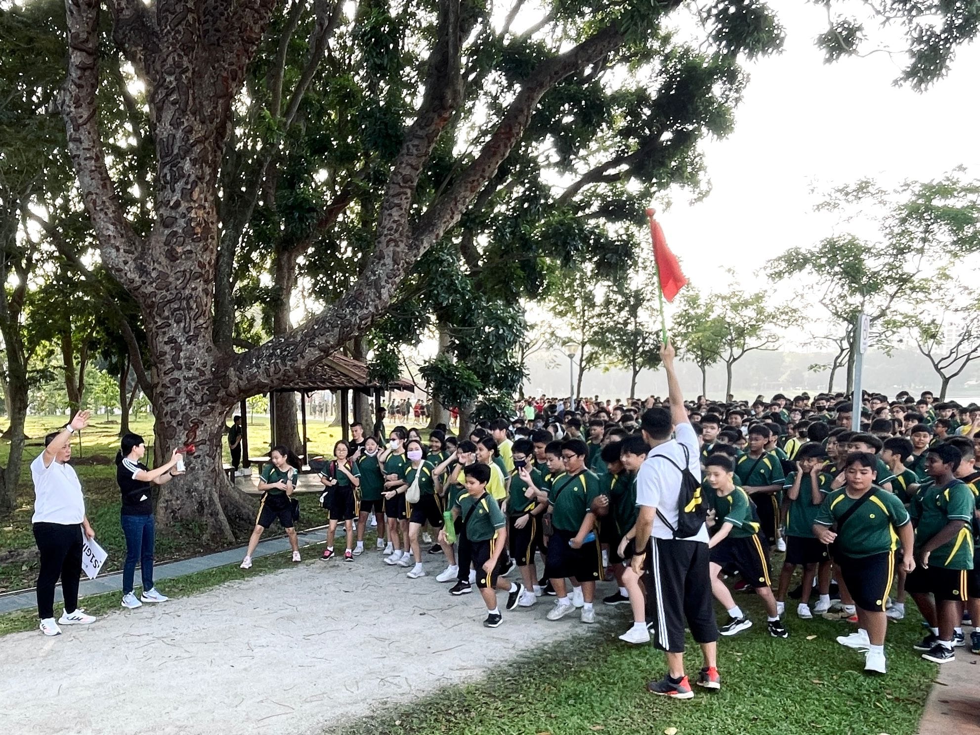 A large group of students in green uniforms walks in a park past a large tree, guided by adults holding flags.